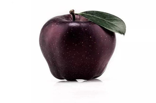 新品种苹果苗“黑钻苹果”